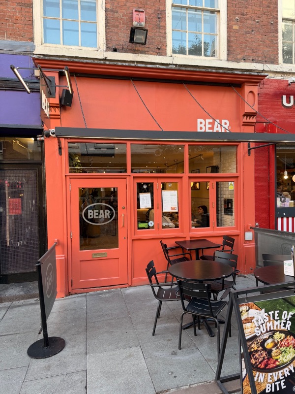 Bear