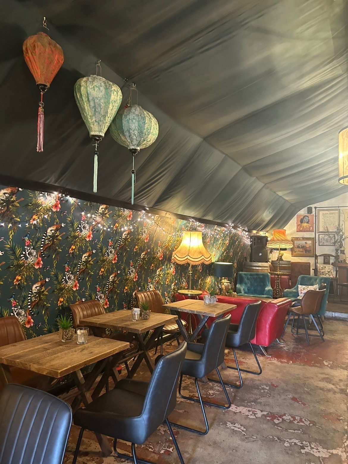The Coffee Cellar