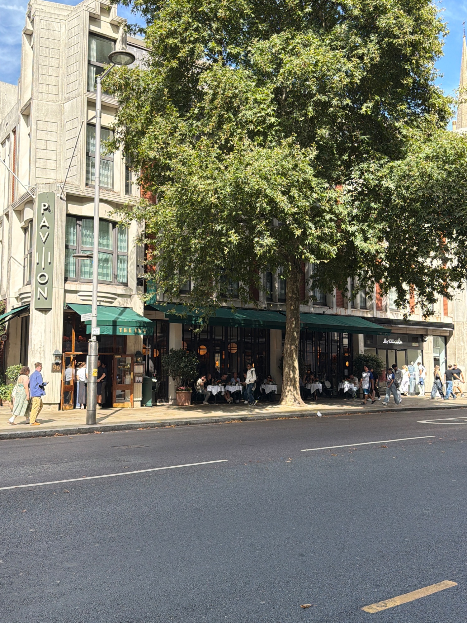 The Ivy