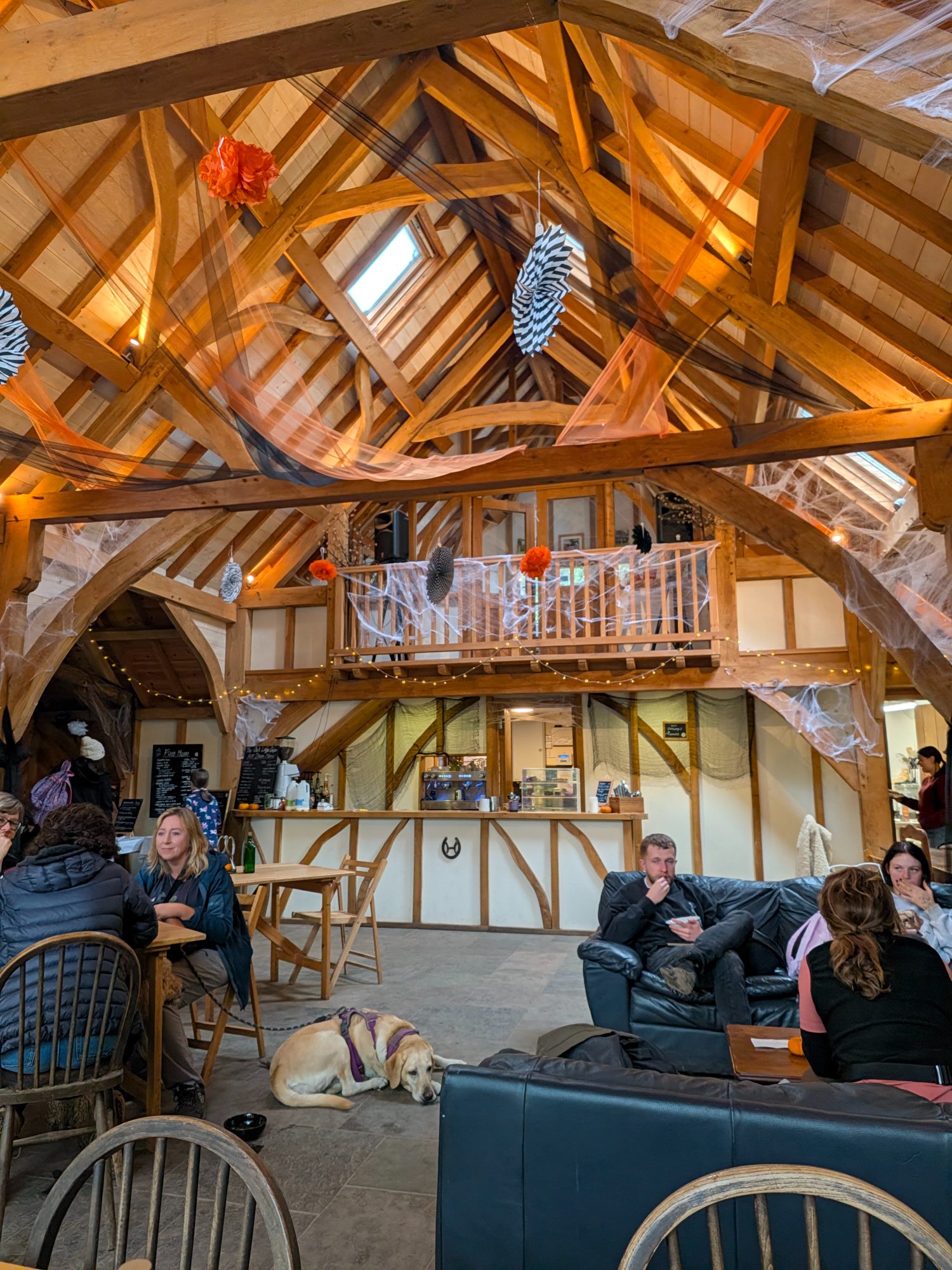 Cafe at Budleigh Riding School